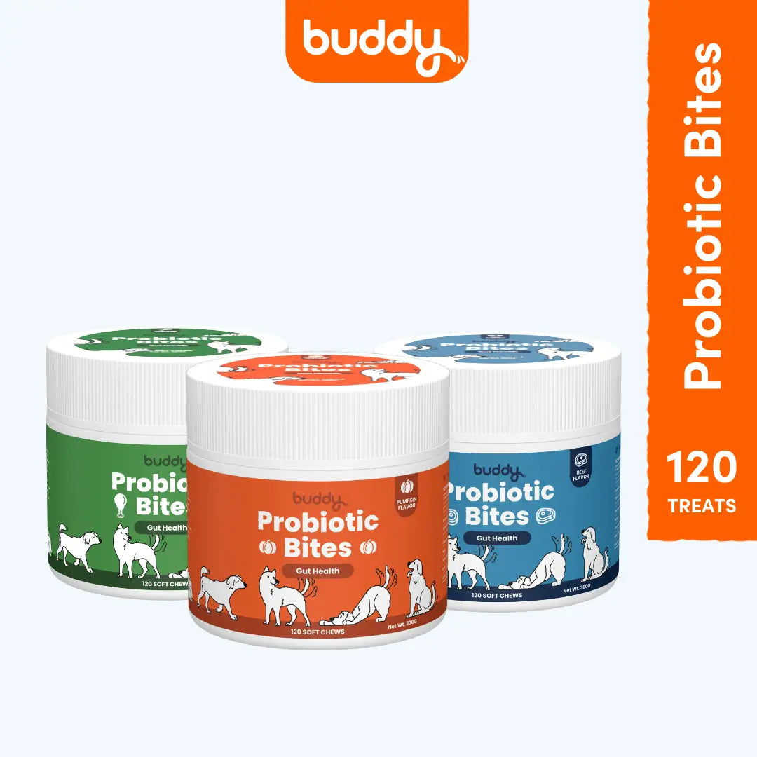 Buddy Probiotic Bites