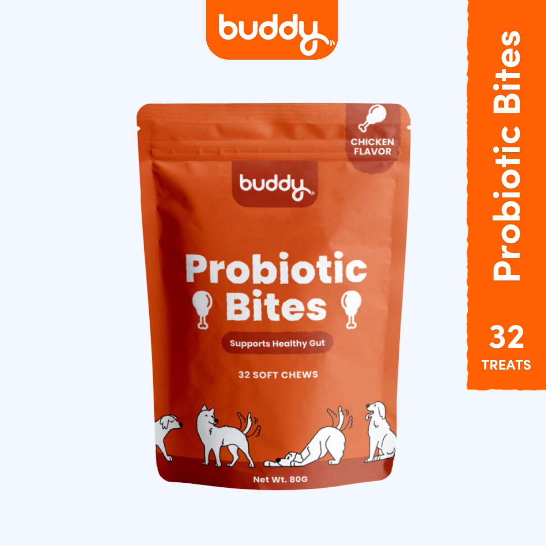 Probiotic Bites (Trial Pack)