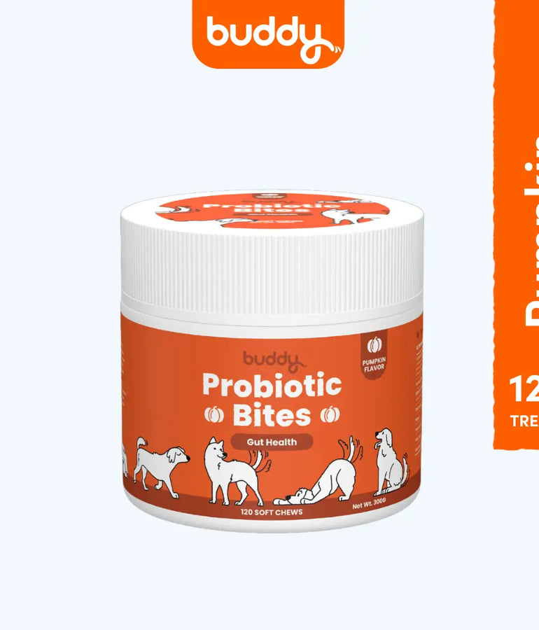 Buddy Probiotic Bites