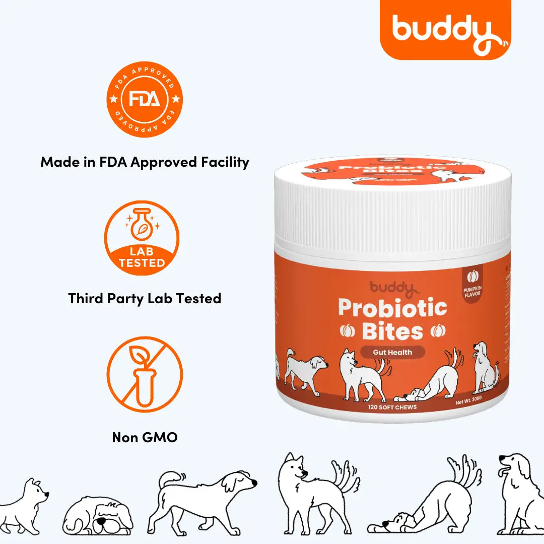 Probiotic Bites (Duo Bundle - Pumpkin)