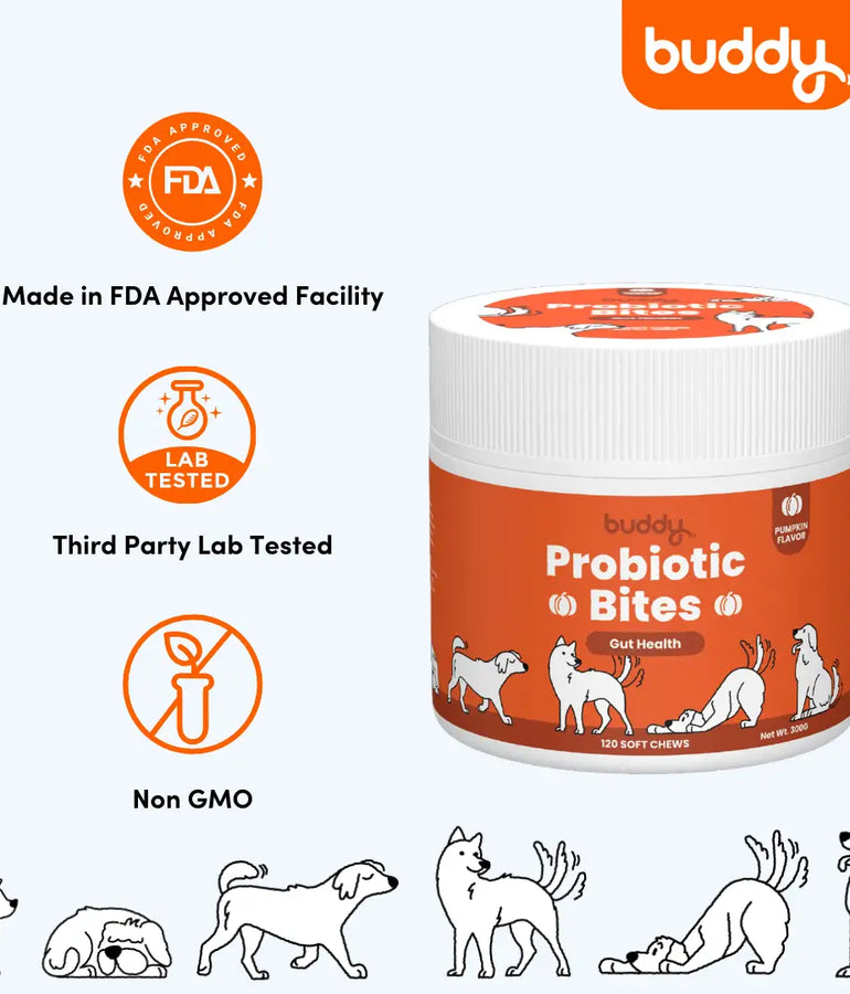 Buddy Probiotic Bites