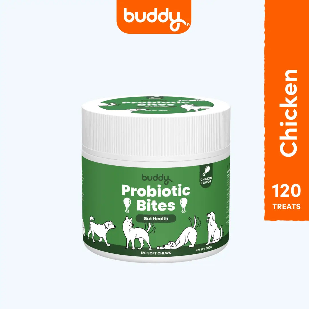 Buddy Probiotic Bites