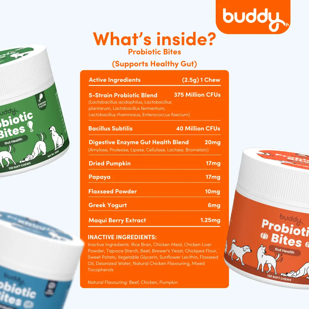 Buddy Probiotic Bites