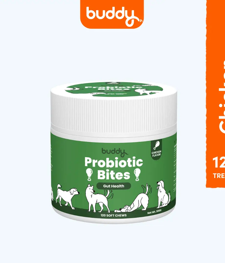 Buddy Probiotic Bites