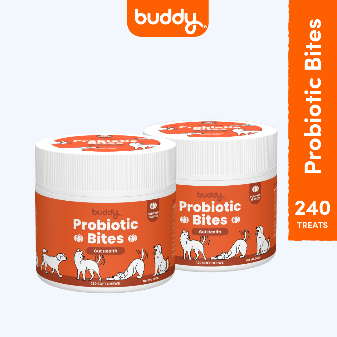 Probiotic Bites (Duo Bundle - Pumpkin)