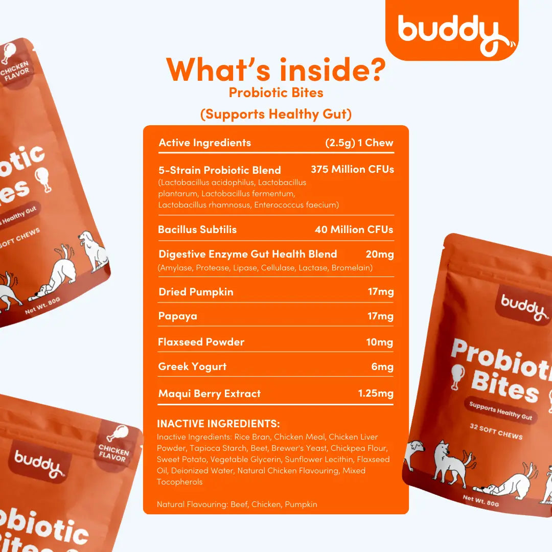 Probiotic Bites (Trial Pack)