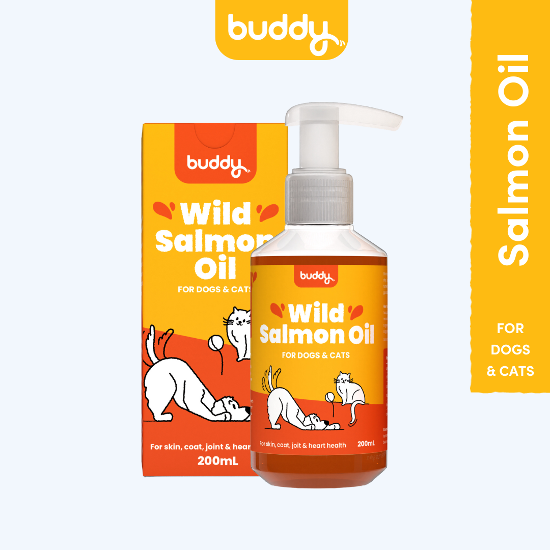 100% Wild Salmon Oil